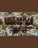 Narcotics Pi poster
